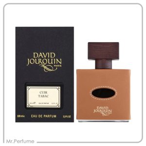 دیوید جورکین کویر تاباک