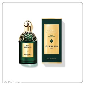 گرلن عود اسنشیال