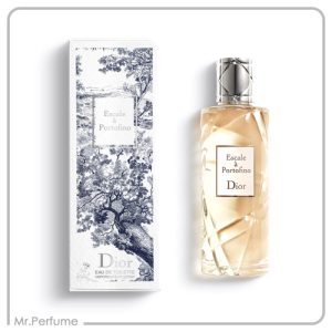 اسکیل ا پورتوفینو لیمیتد ادیشن