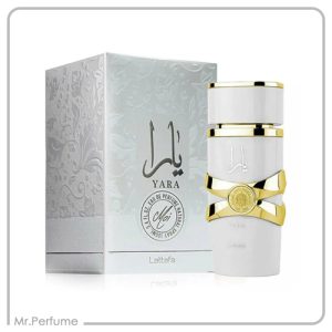 لطافه یارا موی