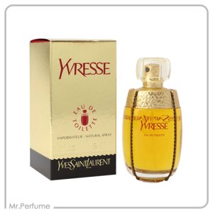 ایو سن لورن ایورس شامپاین