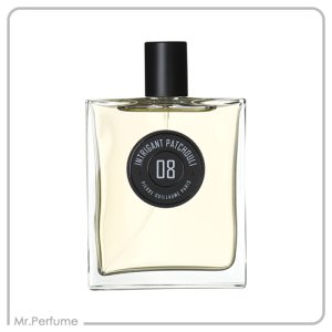 اینتریگنت پاچولی 08